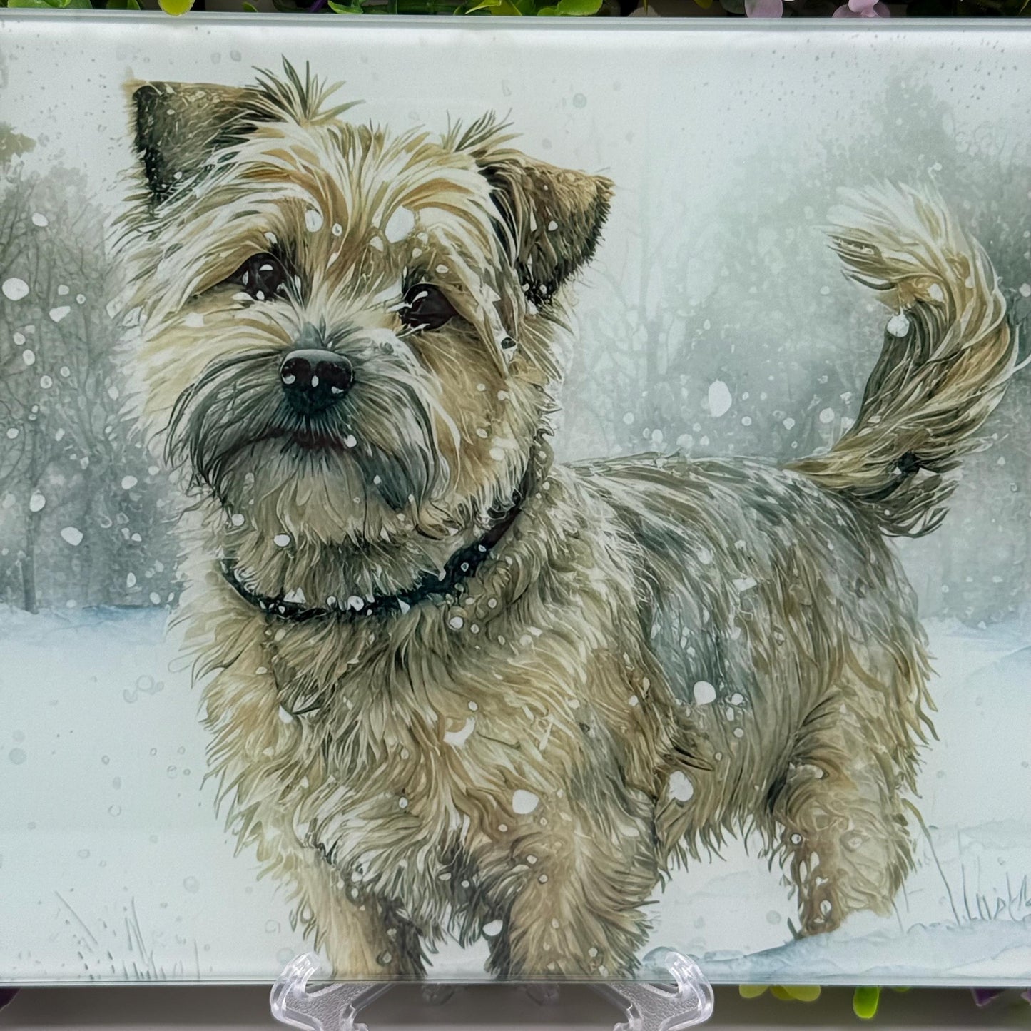 Norfolk Terrier Winter Snow 8inch x 11inch Glass Chopping Board
