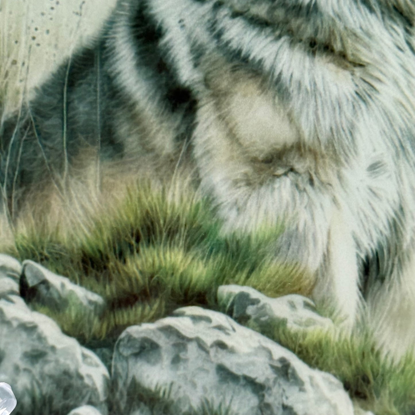 Alaskan Malamute Glass Square Coasters