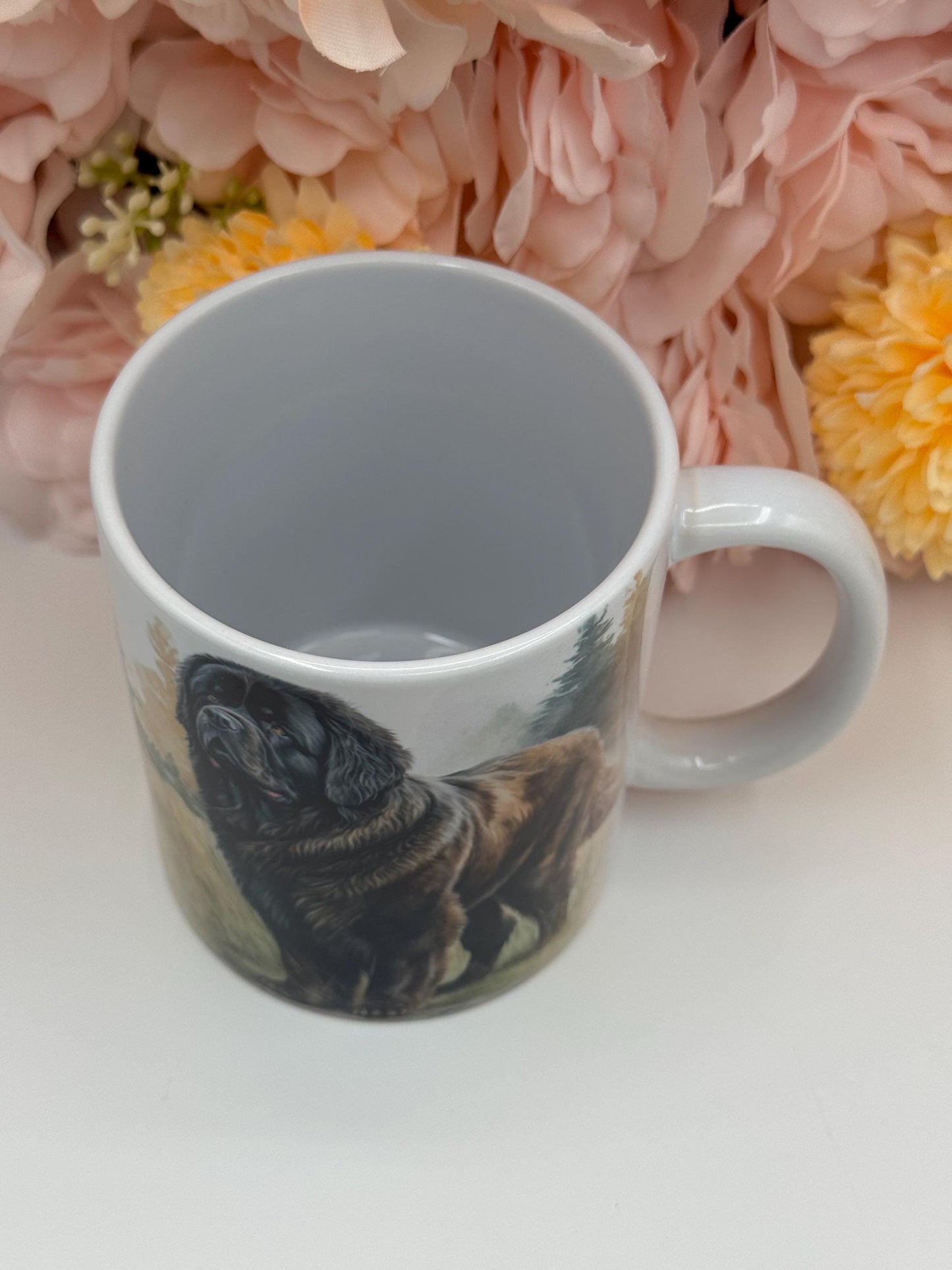 Newfoundland Dog Ceramic 11oz Mug