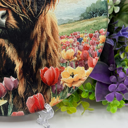 Highland Cow Round Glass Tea Pot Holder - Chopping Board - Worktop Protector - Heat Mat
