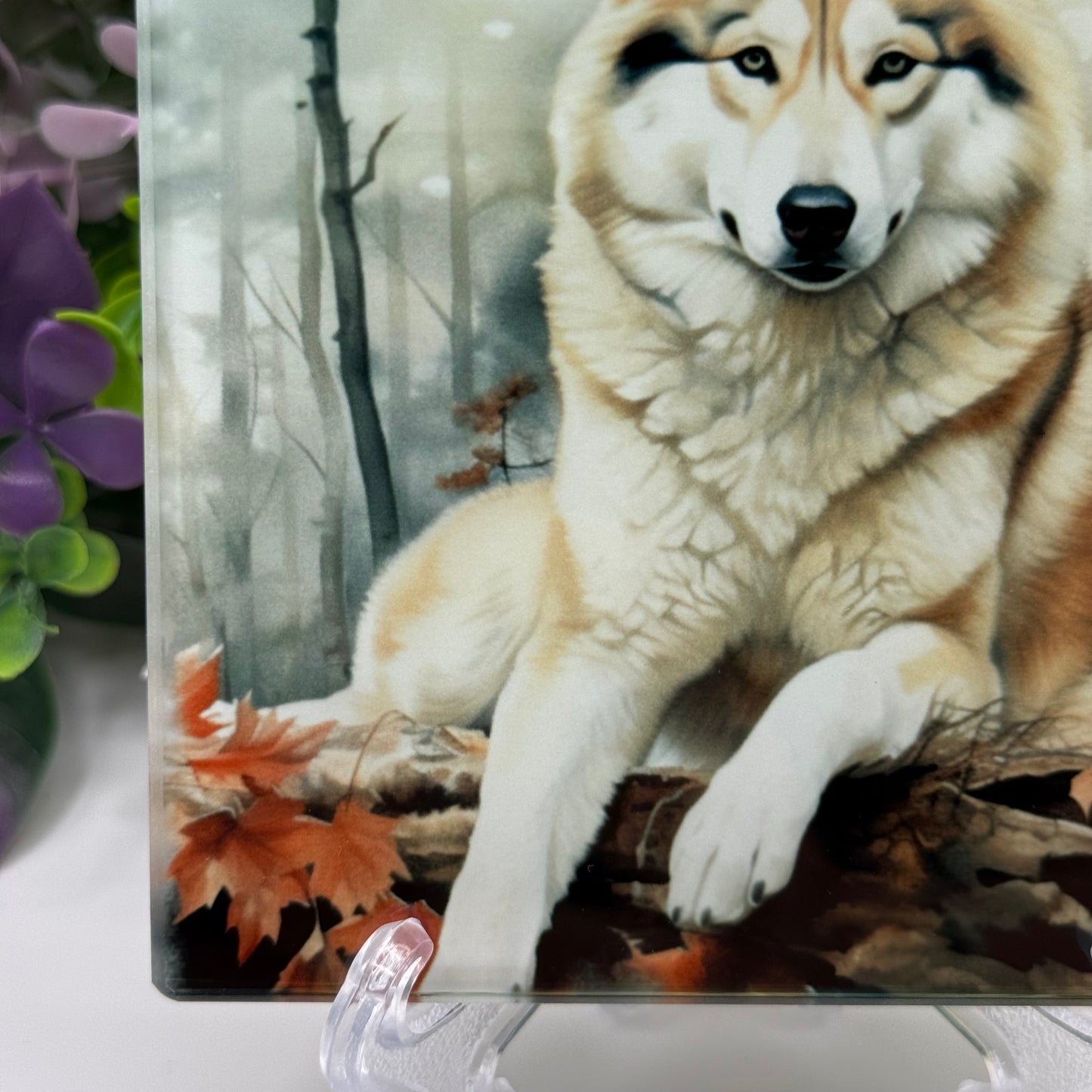 Husky Dog Glass Square Coaster