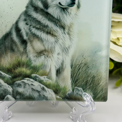 Alaskan Malamute Glass Square Coasters
