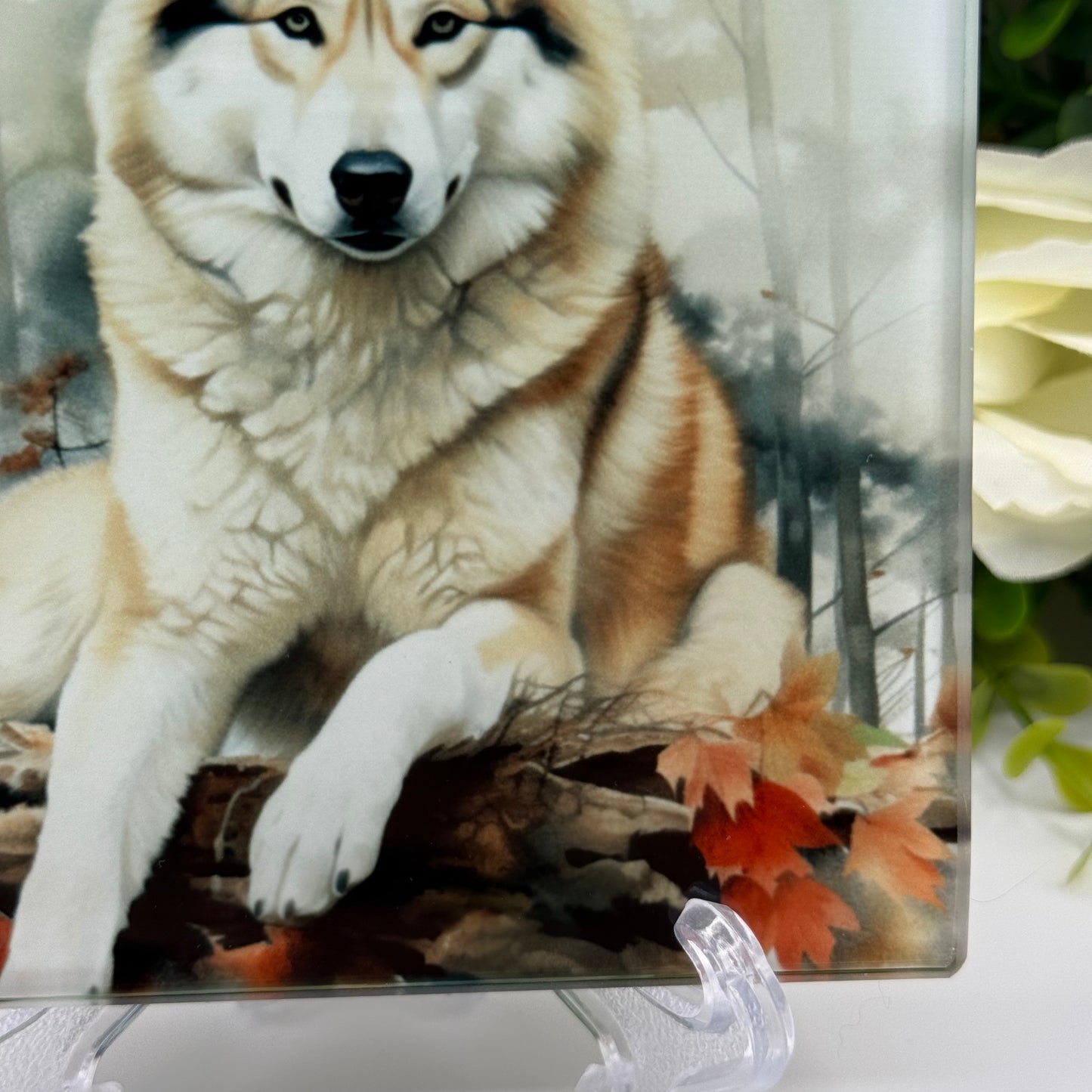 Husky Dog Glass Square Coaster