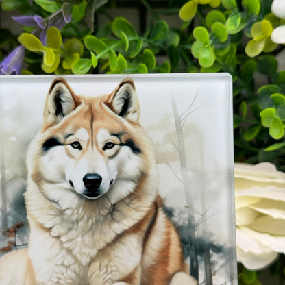 Husky Dog Glass Square Coaster
