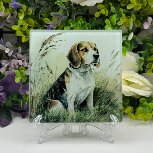 Beagle Square Glass Coasters
