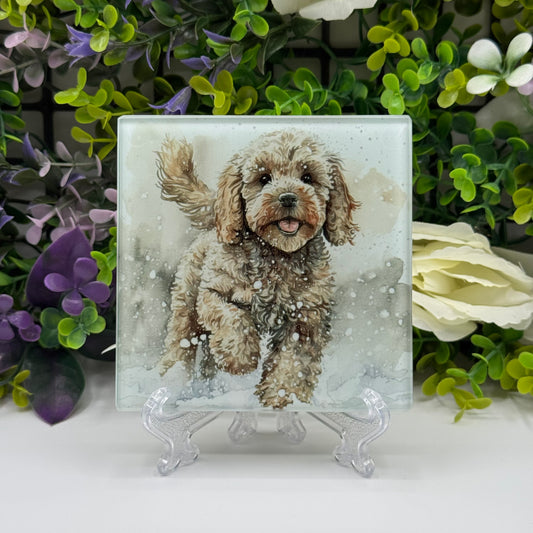 Cockapoo Glass Square Coasters