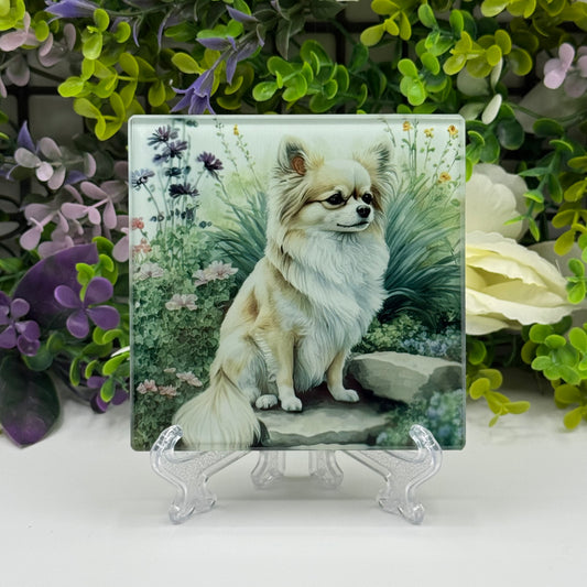 Chihuahua Glass Square Coaster