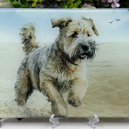 Soft Coated Wheaten Terrier 8inch x 11inch Glass Chopping Board