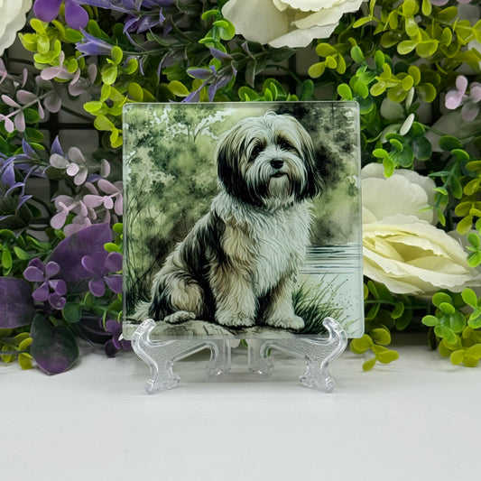 Tibetan Terrier Glass Square Coasters