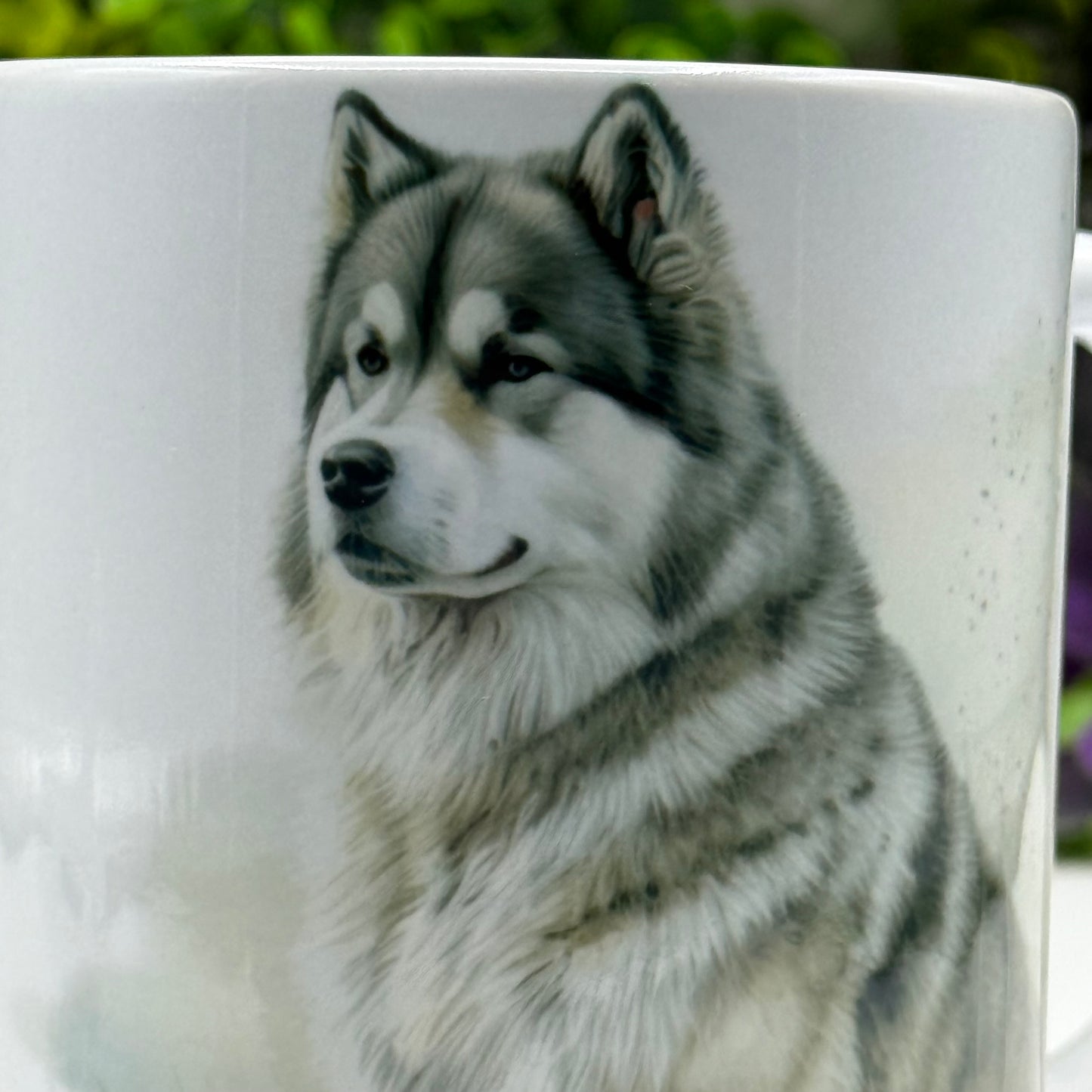 Alaskan Malamute 11oz Ceramic Mug
