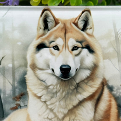 Husky Dog Glass Square Coaster
