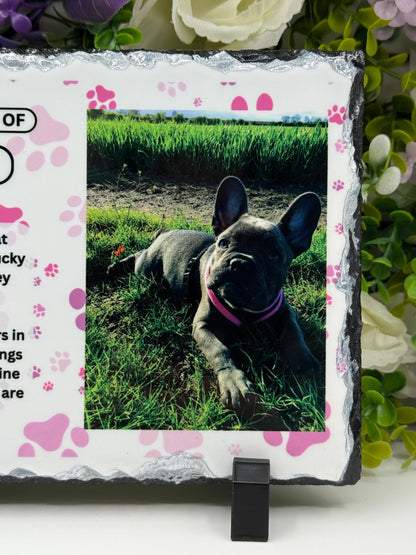 Personalised Pet Memorial Slate – Custom Photo Keepsake Plaque(15cm x 20cm)